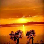 La Torre Antica Bed & Breakfast Foce Varano