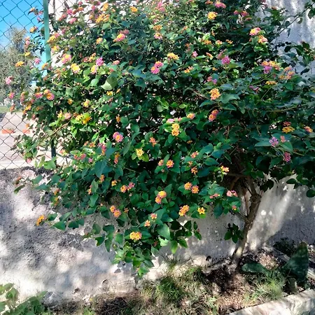לינה וארוחת בוקר La Torre Antica פוצ'ה ואראנו