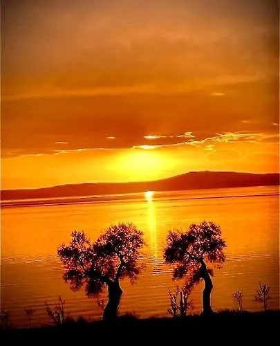 La Torre Antica B&B 포체 바라노