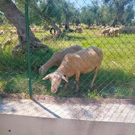 La Torre Antica Foce Varano