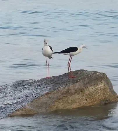 La Torre Antica Foce Varano
