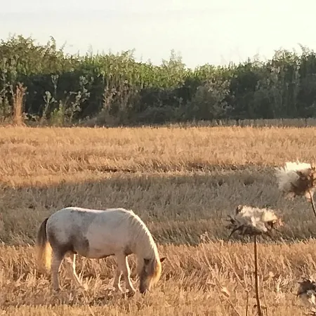 La Torre Antica Bed & Breakfast