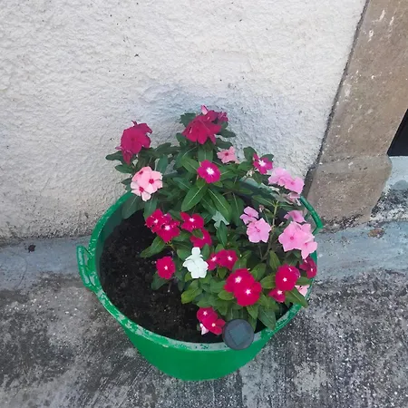 La Torre Antica Bed & Breakfast Foce Varano